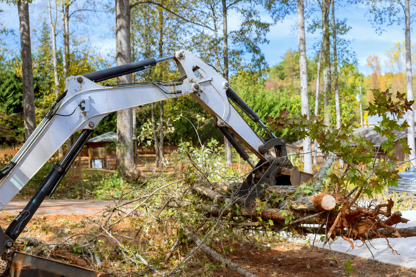 Rapid Los Altos Tree Services crew performing tree service in Los Altos, CA